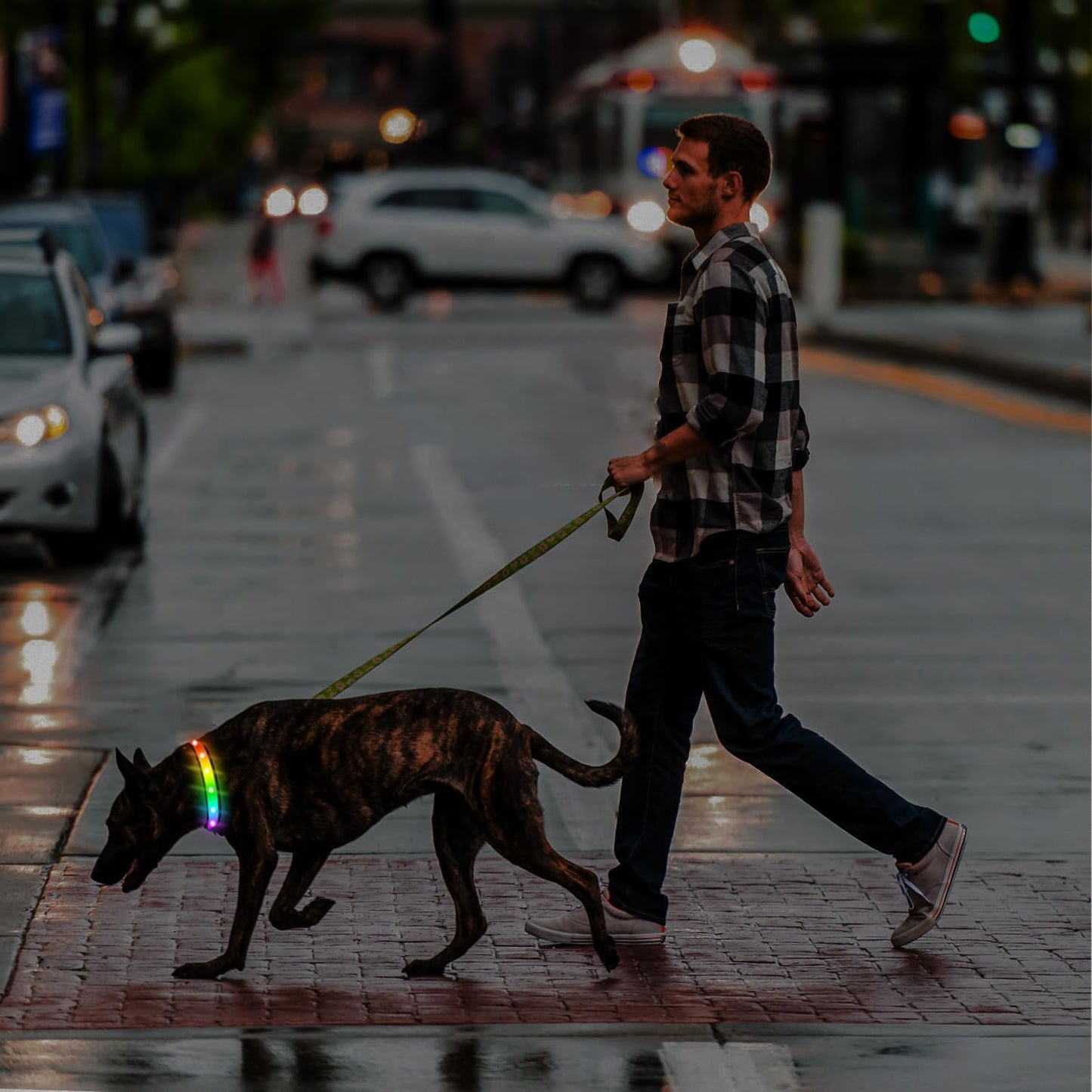 Light up Dog Collar - Multicolor LED Dog Collar with 3 Glow Modes, Rechargeable Glow in the Dark Dog Collars for Small, Medium & Large Dogs, 1000 Ft Visibility, IPX7 Waterproof (Black, S)