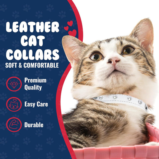 Studded Cat Collar, Genuine Leather Kitten Collar, Sturdy Breakaway Cat Collar with Bell and Elastic Stretch, Cat Accessories, Ivory White, 10 X 1/2 Inches -