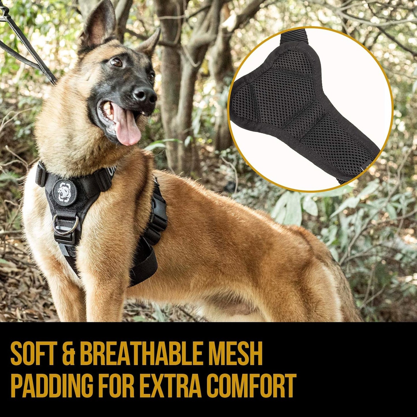 Lightweight No Pull Dog Harness - Perfect for Walking & Hiking All-Day Wear with Small, Medium & Large Dogs (Black, M)