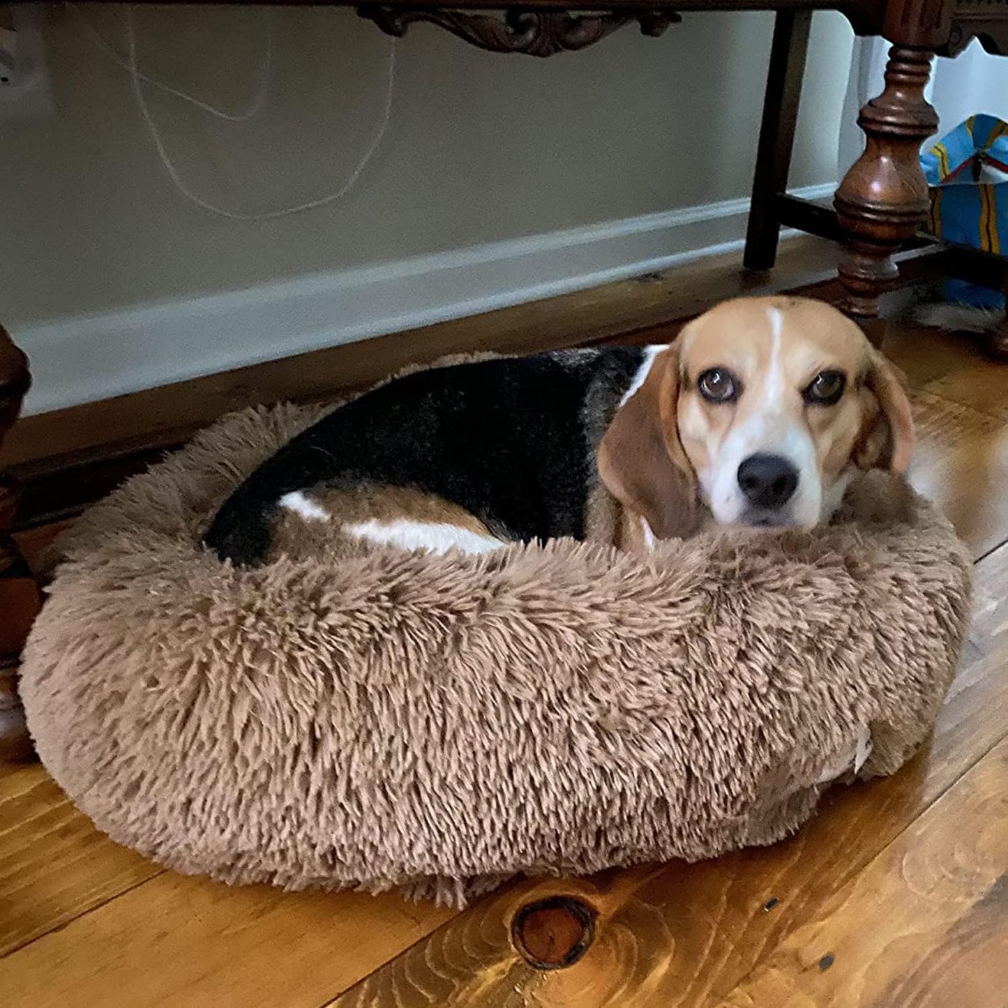 Comfortable round Plush Dog Beds, Calming Dog Bed for Small Medium and Large Dogs - XL
