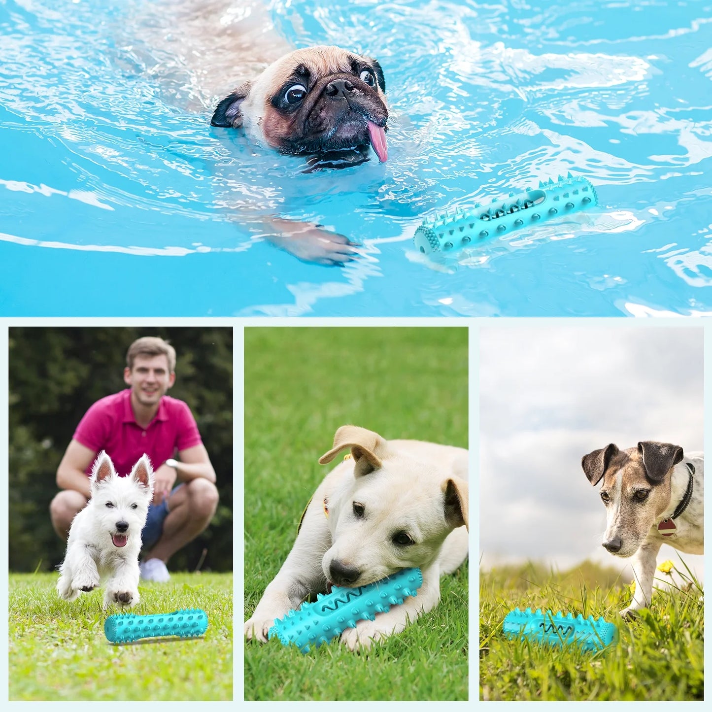 Dog Chew Toys for Aggressive Chewers Small Medium Breed, Indestructible Dog Squeaky Toys, Puppy Chew Toothbrush Toys Dog Teeth Cleaning