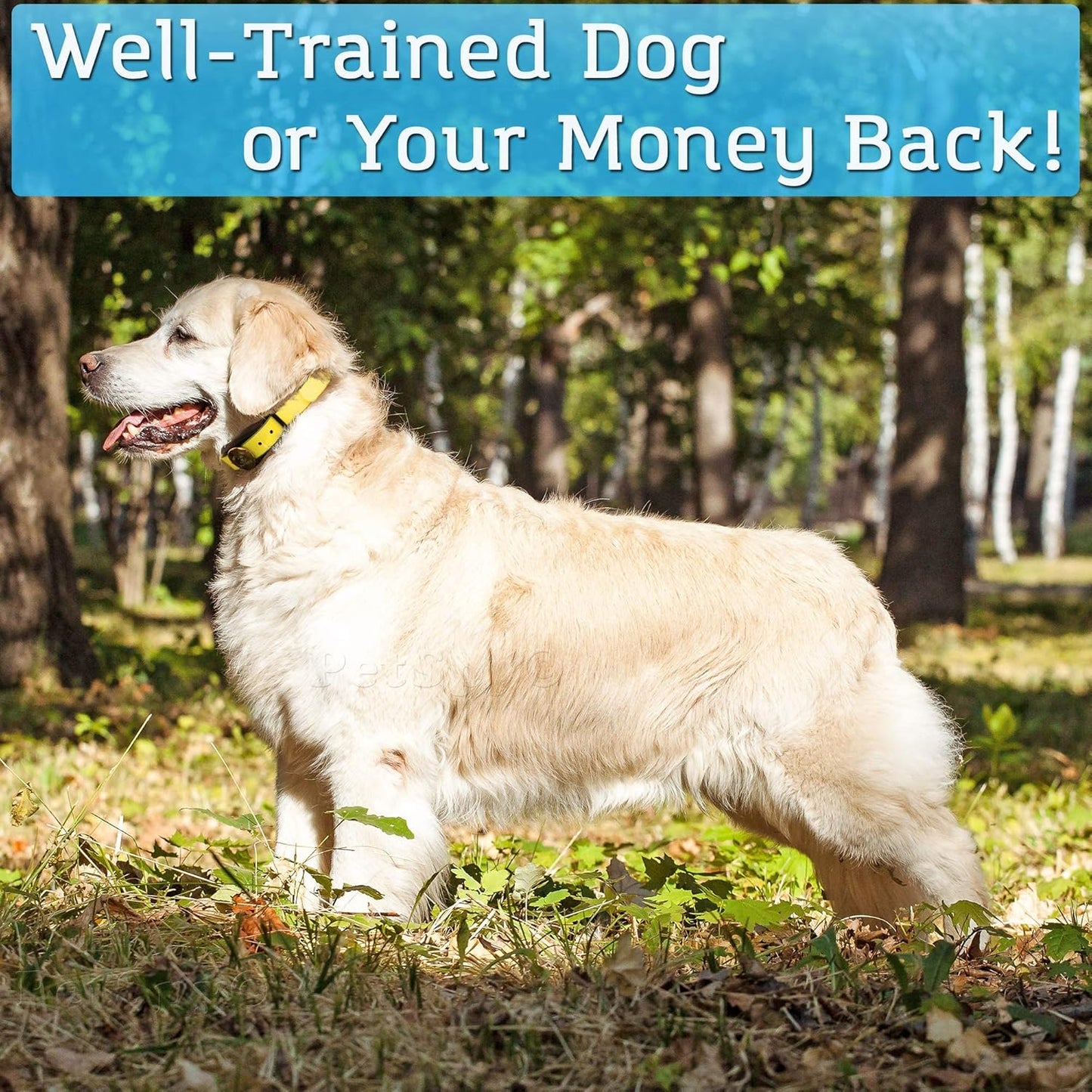 P320N Dog Training Shock Collar, 400 Yards, Medium to Large Dogs, with Vibration, Electric Shock and Beep, Waterproof, Remote Trainer