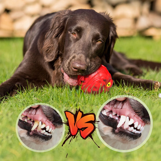 Dog Chew Toys for Aggressive Chewers Large Breed Small Medium Dogs, Dog Puzzle Toys Interactive Indestructible Durable Treat Dispensing Toy