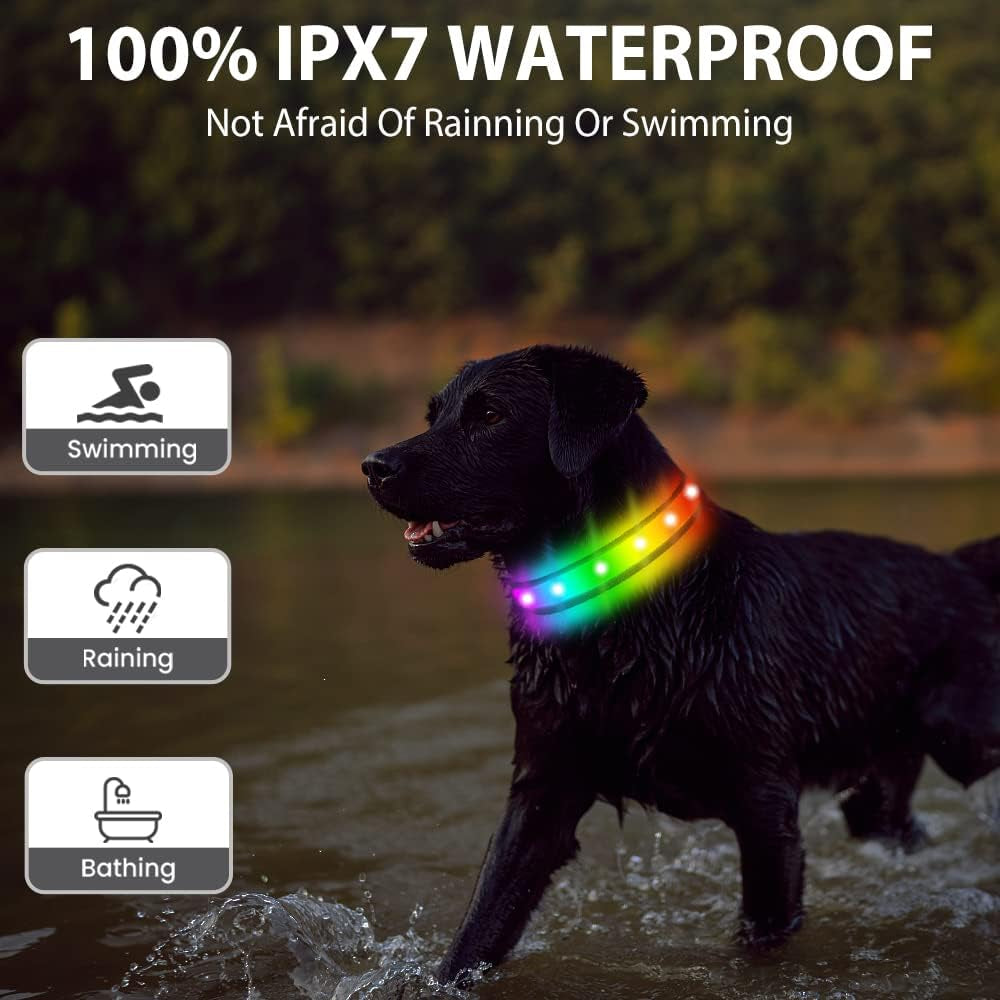 Light up Dog Collar - Multicolor LED Dog Collar with 3 Glow Modes, Rechargeable Glow in the Dark Dog Collars for Small, Medium & Large Dogs, 1000 Ft Visibility, IPX7 Waterproof (Black, S)