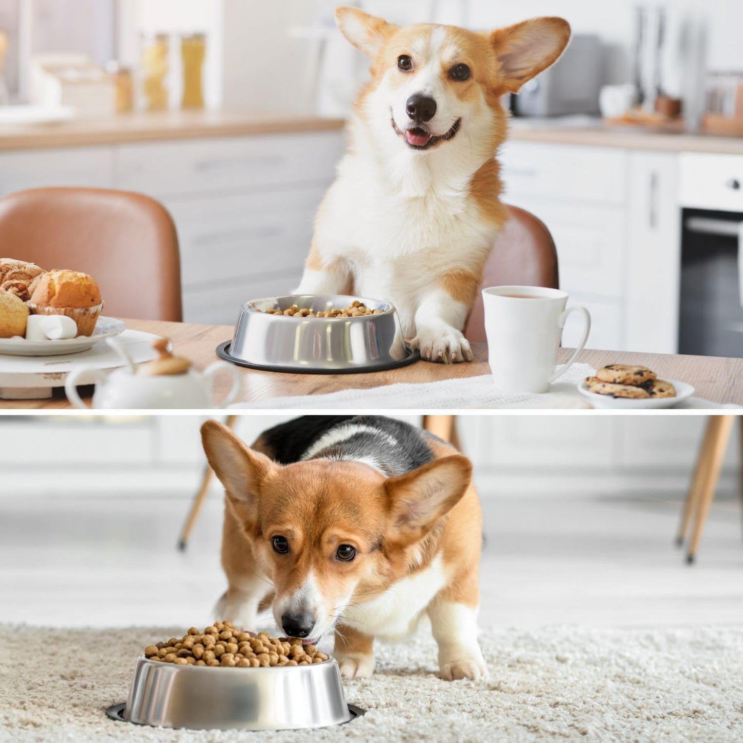 Stainless Steel Dog Bowl No Mess Non Spill Dog Water Bowl Rubber Base Dog Bowls for Medium Sized Dog, Food and Water Dish, Pet Food Holder, 22 Cm