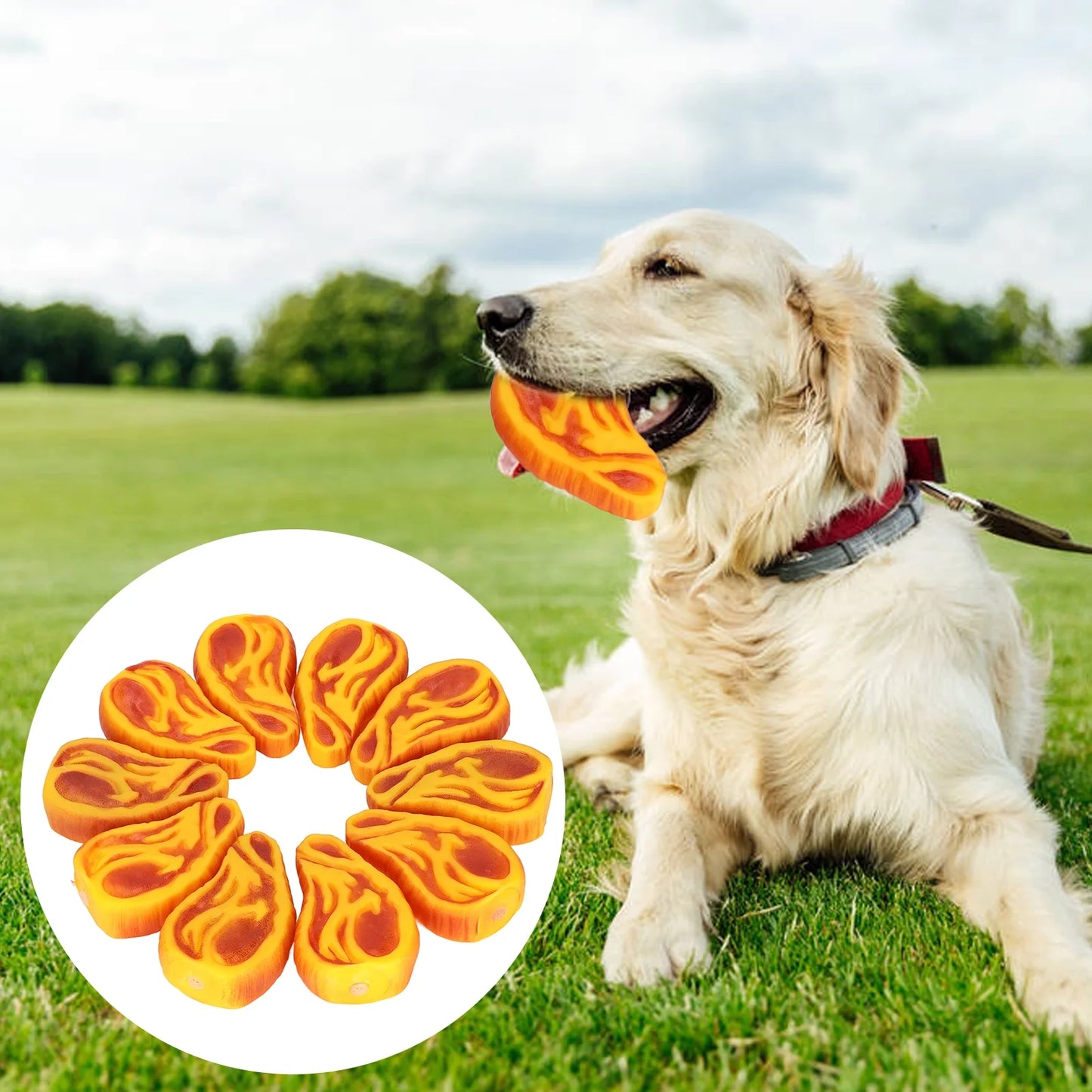 10Pcs Dog Squeaky Toy Simulation Steak Shape Interactive Vinyl Puppy Chewing Sound Toy,Squeaky Steak Dog Toy,Vinyl Puppy Squeaky Toy