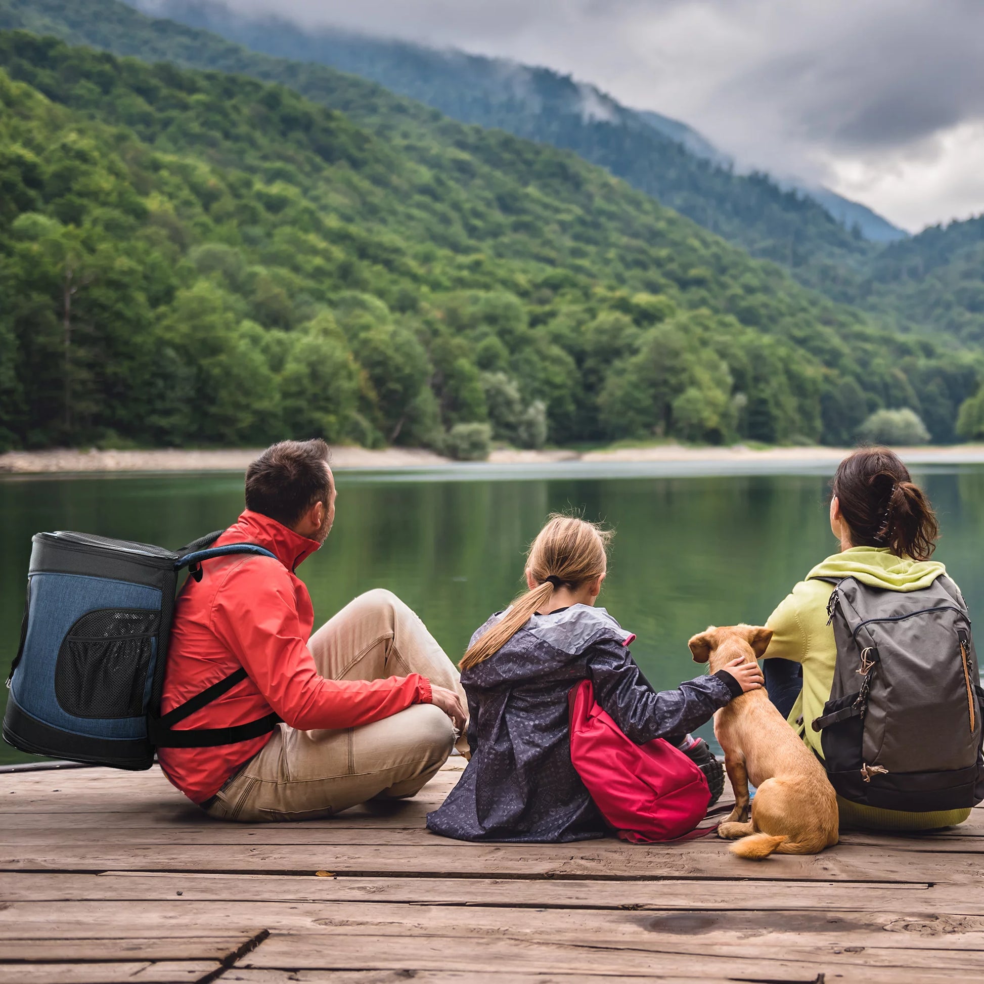 Medium Pet Travel Backpack Carrier for Dogs Cat Animal Puppy, Breathable Mesh Net Removable Sherpa Bed Outdoor Carrier F