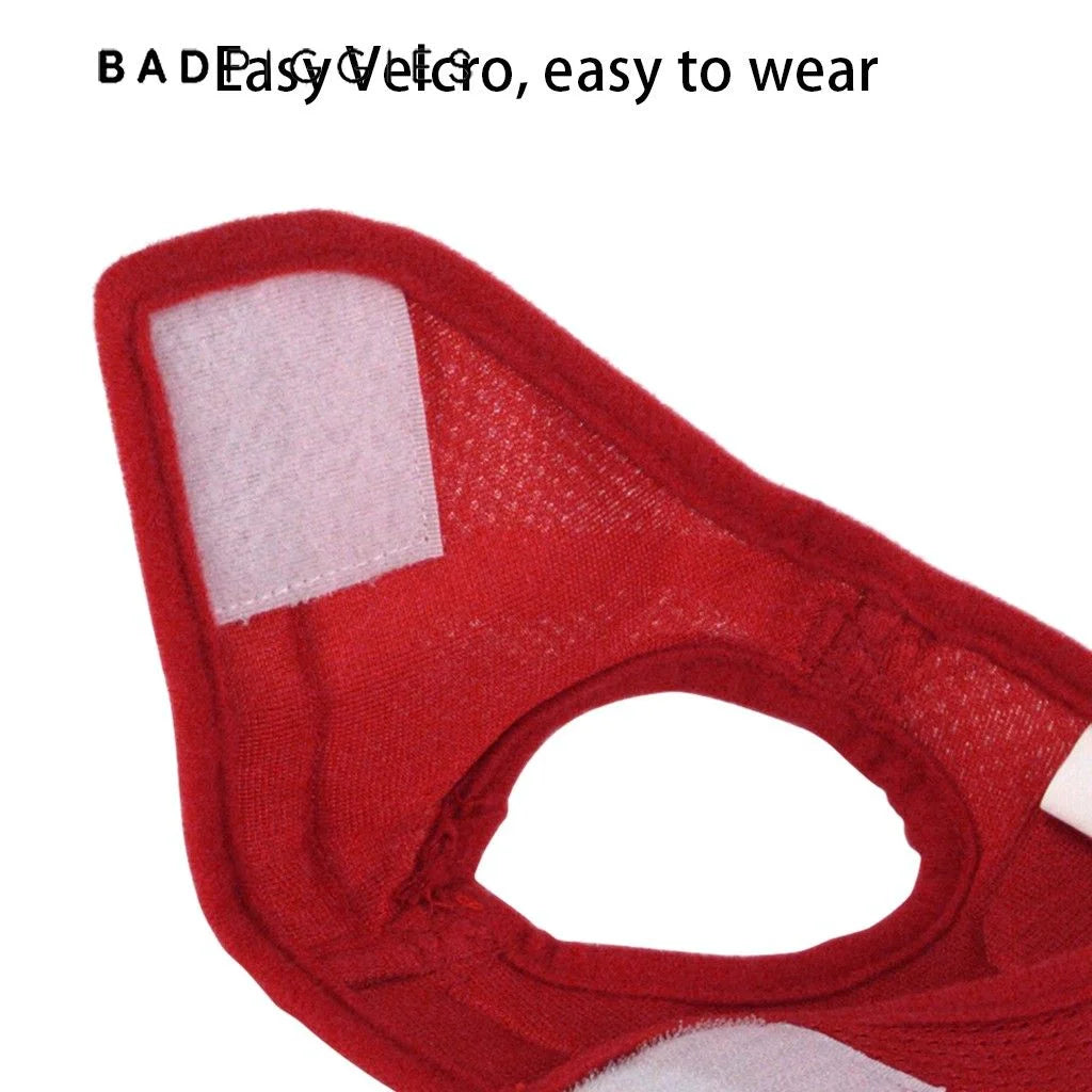 No Pull Dog Harnesses No Choke Reflective Pet Harness Adjustable Walking Breathable Mesh Dog Vest for Small Dogs Cats