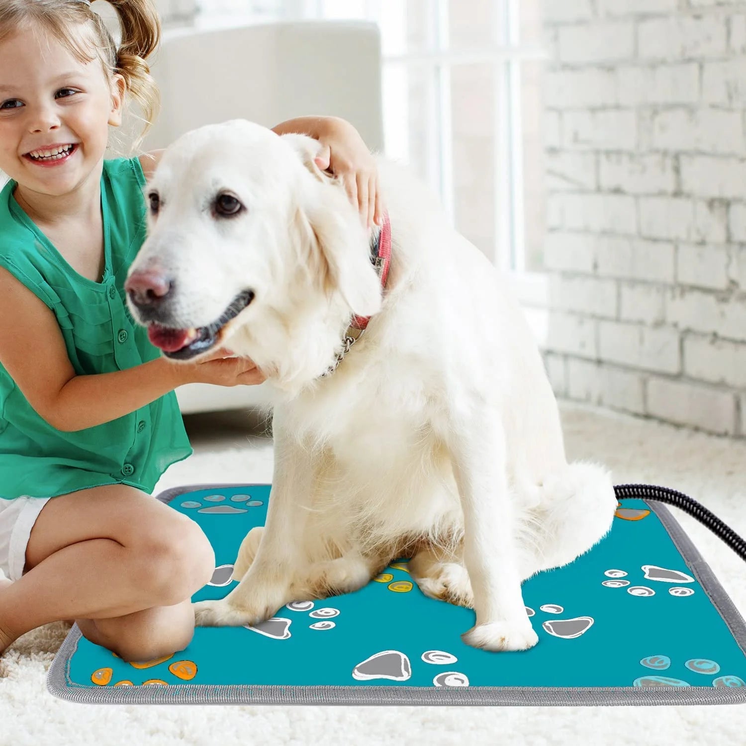 Pet Heating Pad, Waterproof Heated Bed Mat for Cats Dogs Puppies Bed Indoor, Electric Warming Pad Heating Blanket with Anti- Steel Cord, Dual Temperature Dual Control, 17.7Inch