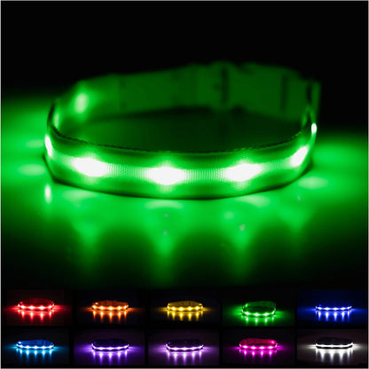 Light up Dog Collar - the Original LED Dog Collar - USB Rechargeable - Waterproof - 1,000 Feet of Visibility - Dog Collar Light for Small, Medium, Large Dogs - USA Brand