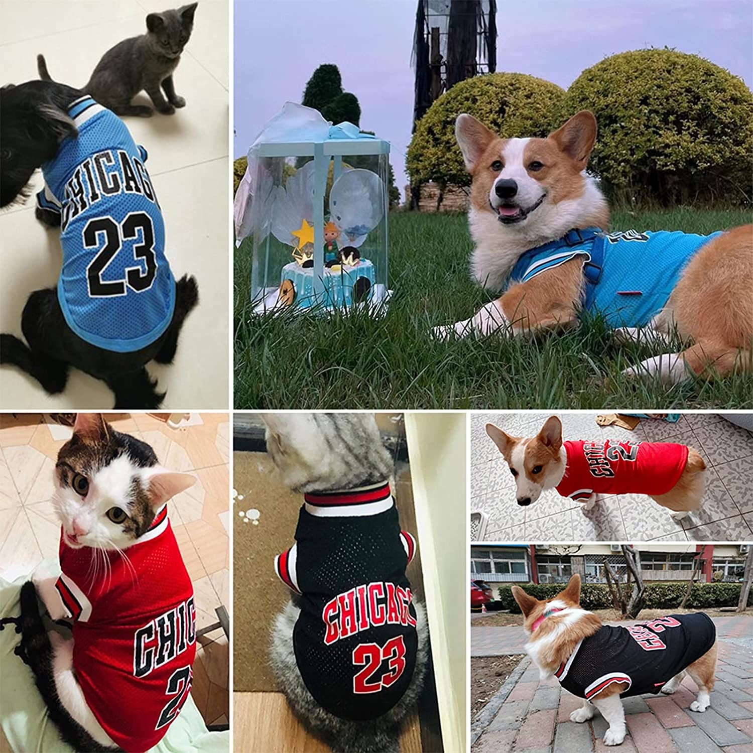 Dog Basketball Jersey Clothes Boy Girl Dog Pet Vest Clothes Puppy Shirt Apparel Cute Outfit Summer Fashion Cotton Dog Tshirt Female for Large Dogs, Medium & Small Chihuahua,Yorkies