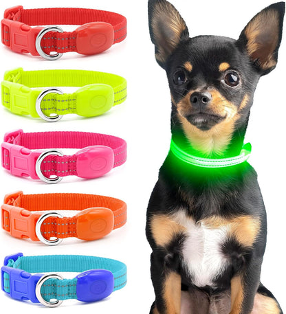Light up Dog Collar - Reflective LED Puppy Collar Rechargeable Glow in the Dark Cat Collar High Visibility Safety Dog Lights for Night Walking (XS, Red)