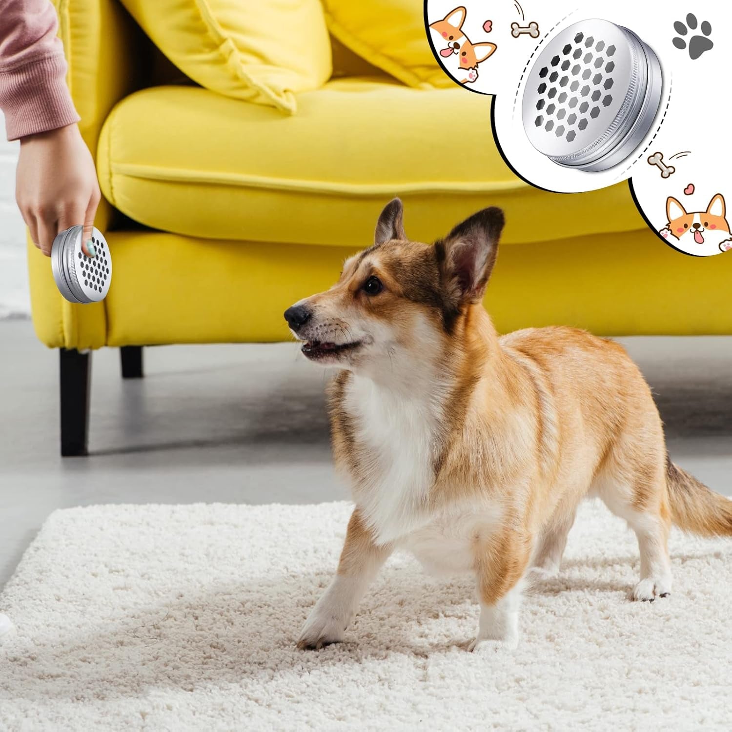 12 Pack Dog Scent Work Tins, Dog Scent Training Box, Pet Nose Metal Container with 12 Magnetic Dots, Smell Training Kit Smell Canisters Aluminum Cans for Pet (Hexagon)