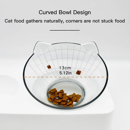 Double Elevated Dog Cat Bowl, Pets Water and Food Bowl Set, 15° Raised Tilted Dishes Indoor for Kitten, Puppies, Small or Medium Size Dogs Cats
