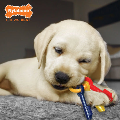 Puppy Chew Toy and Treat Bundle