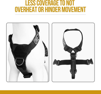 Lightweight No Pull Dog Harness - Perfect for Walking & Hiking All-Day Wear with Small, Medium & Large Dogs (Black, M)