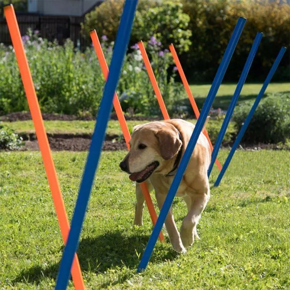 Dog Training Exercise Equipment, Dog Agility Training Equipment, Jump Training Hurdles Equipment,Playground Equipment Outdoor