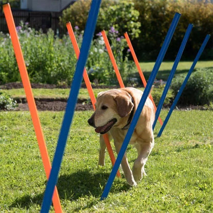 Dog Training Exercise Equipment, Dog Agility Training Equipment, Jump Training Hurdles Equipment,Playground Equipment Outdoor