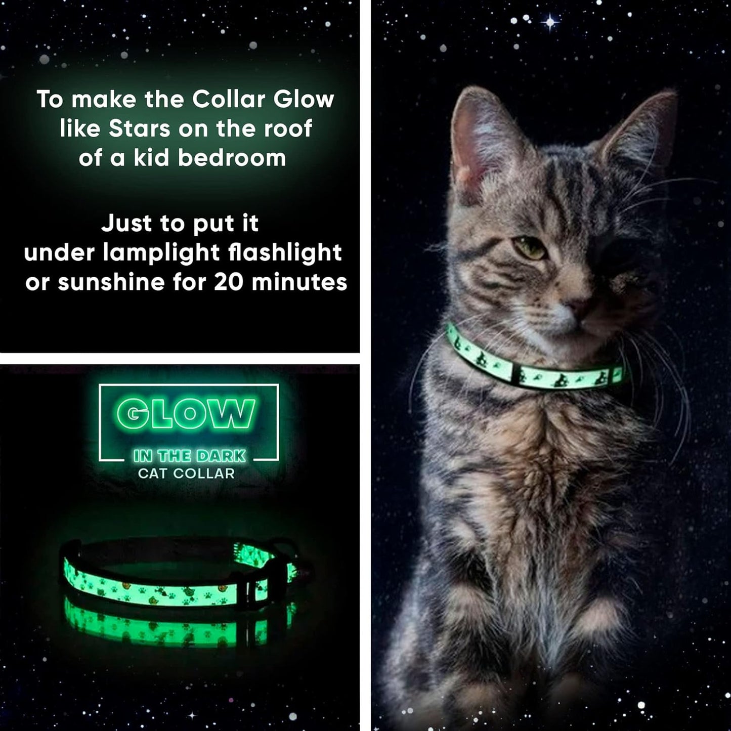 Glow in the Dark Cat Collar Kitten Collar with Safety Buckle and Removable Bell - Teal