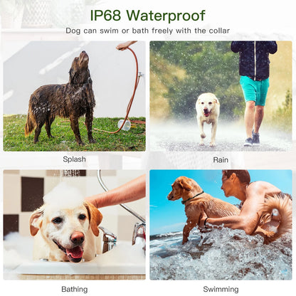 Dog Training Collars, Dog Shock Collar with Remote 2600 Feet, 3 Modes Beep Vibration Shock, IPX7 Waterproof, LED Light, USB Charging, Dog Bark Collar for Training Small Medium Large Dogs