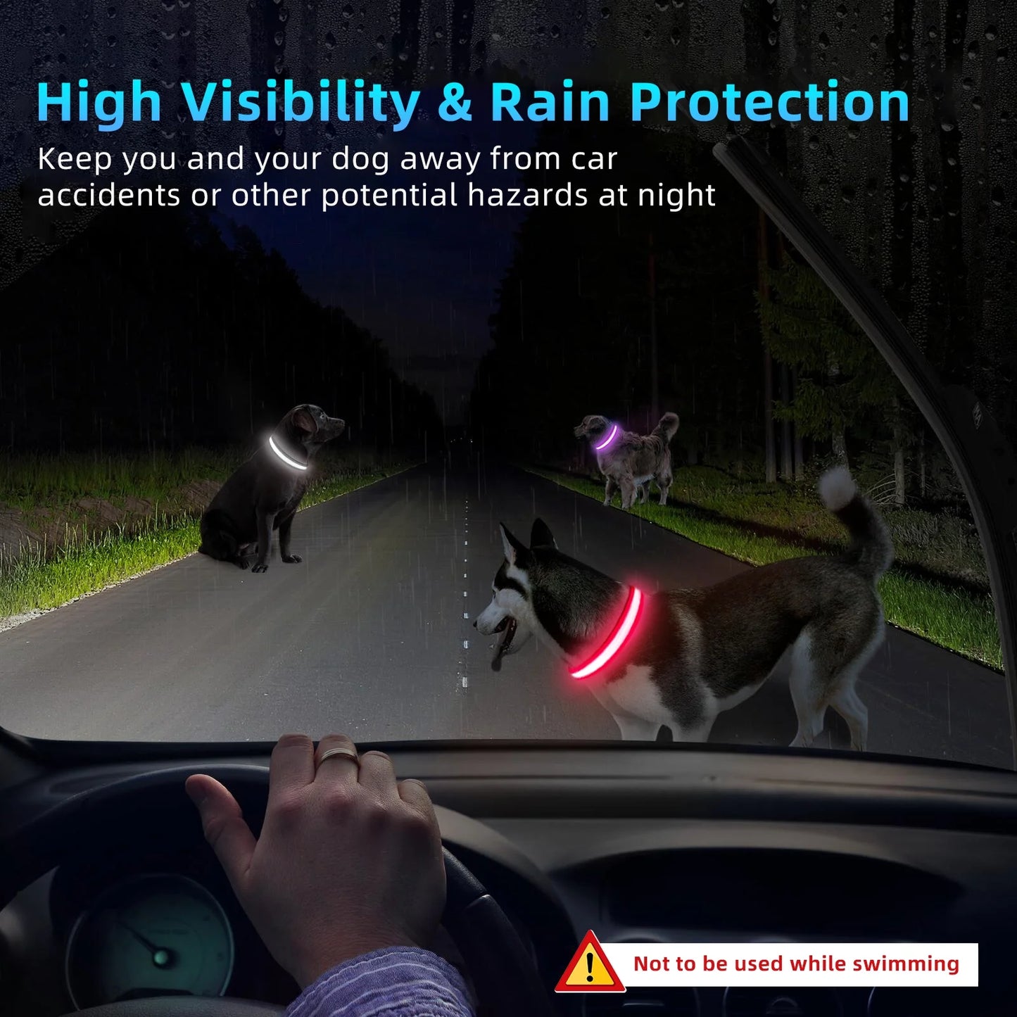 Light up LED Dog Collar, Waterproof Rechargeable for Night Walking RGB Colorful Adjustable Safety Dog Collar for Small Dogs (Purple)