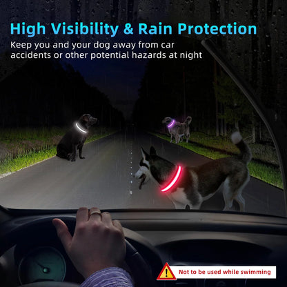 Light up LED Dog Collar, Waterproof Rechargeable for Night Walking RGB Colorful Adjustable Safety Dog Collar for Small Dogs (Purple)