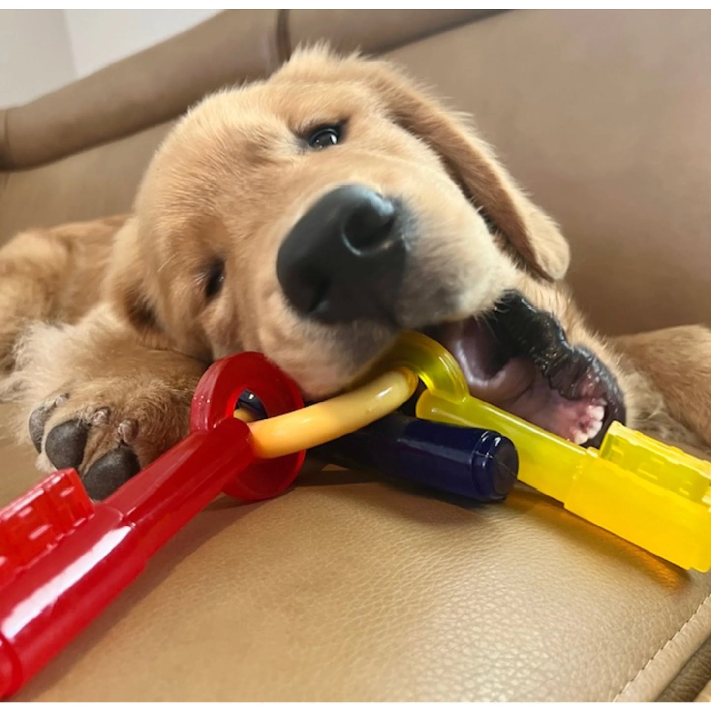 Puppy Chew Toy and Treat Bundle