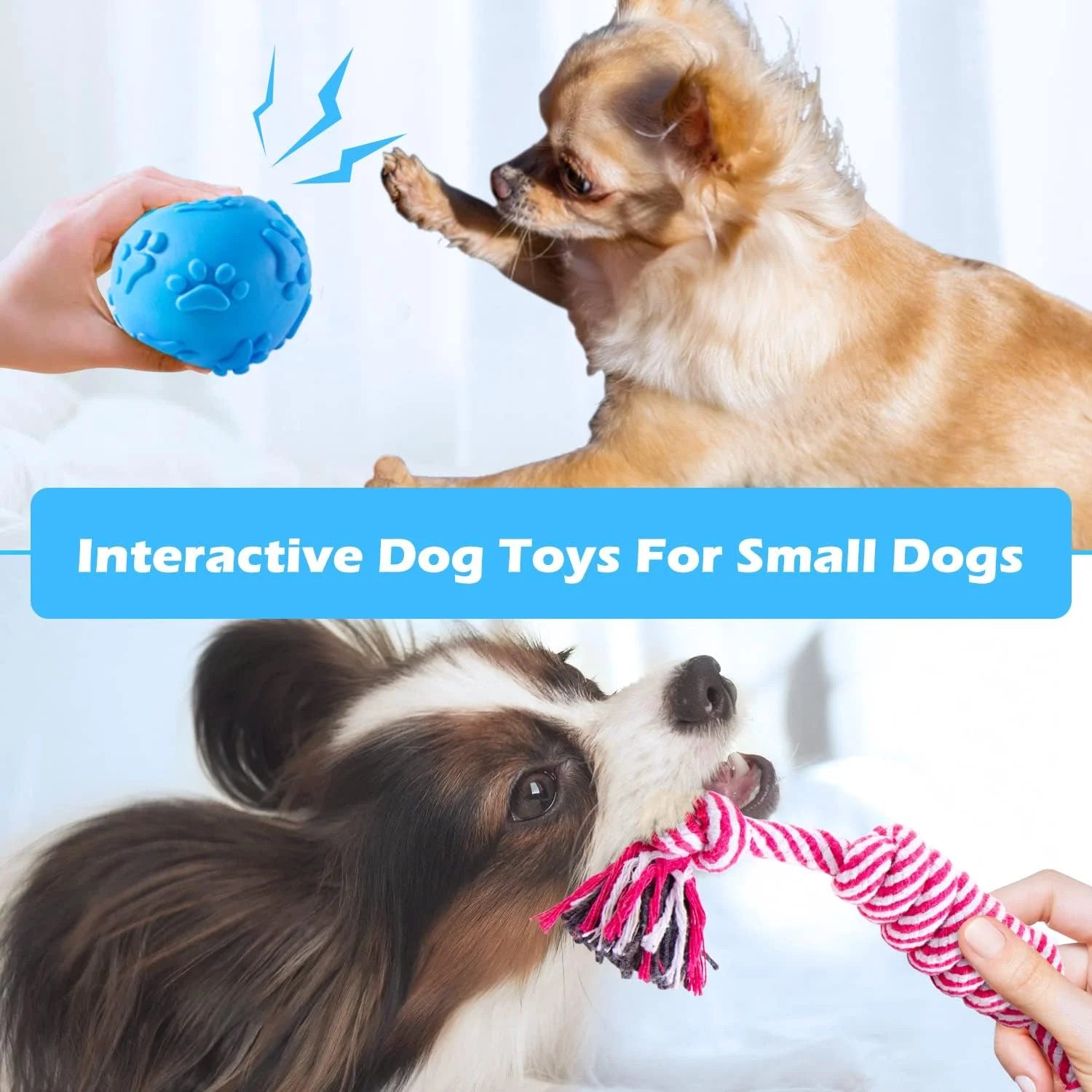 Puppy Toys for Teething Small Dogs, Dog Toys for Small Dogs, Puppy Teething Chew Toys, Small Dog Toys Pack with Stuffed Squeaky Toys, Dog Ball, Ring Toy, Rope Toy, Dog