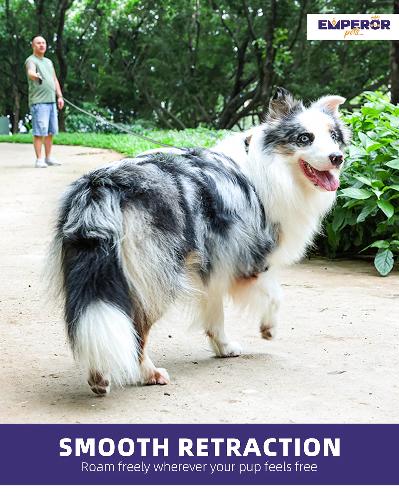 16 Ft Retractable Dog Leash Large Dogs - up to 110Lbs, Large Dog Leash Heavy Duty Dog Leash Retractable 16 Ft - Gray - GY16-50