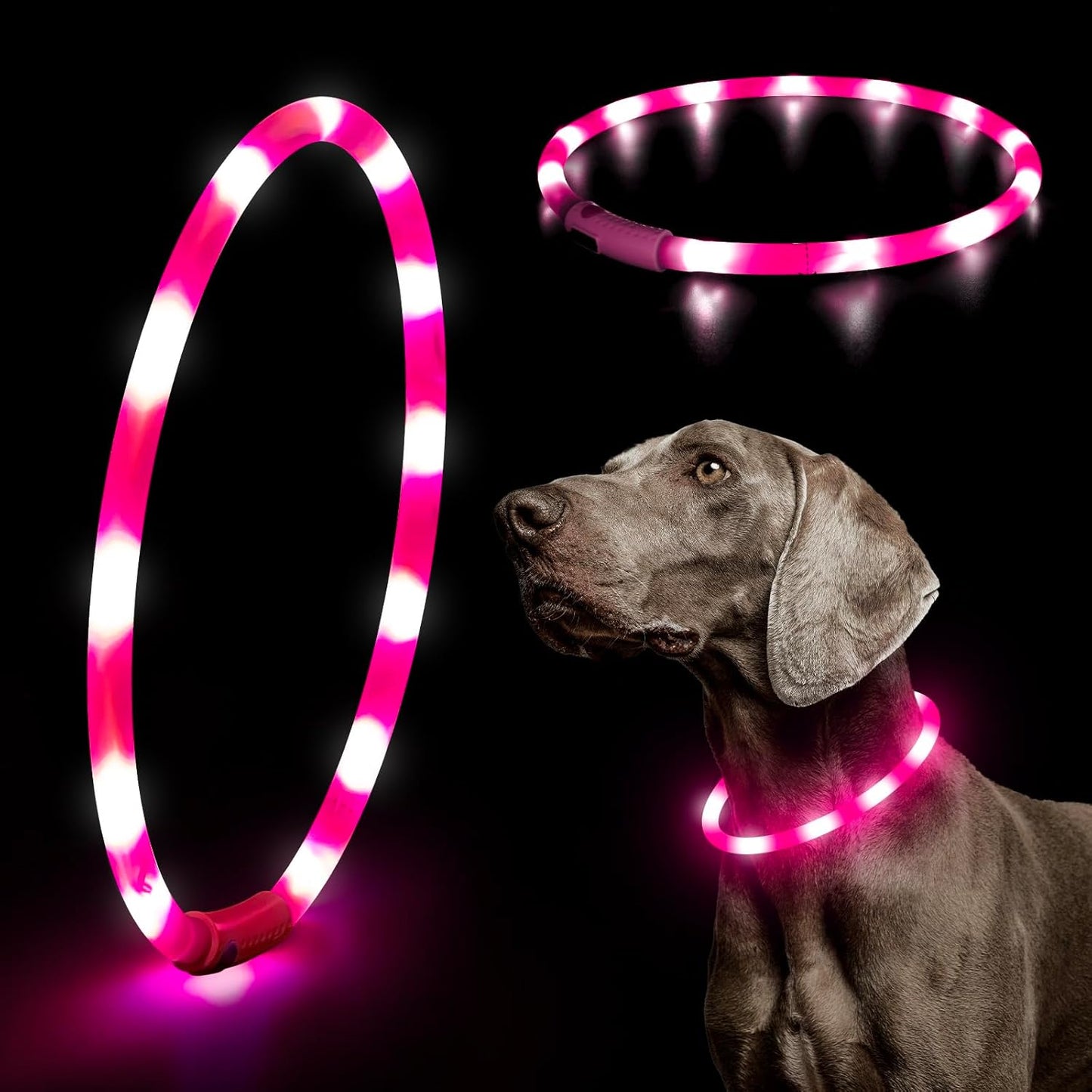 LED Dog Collar Light - USB Rechargeable Light up Dog Collars, DIY Flash LED Dog Necklace for Your Dogs Walking at Night (Red)