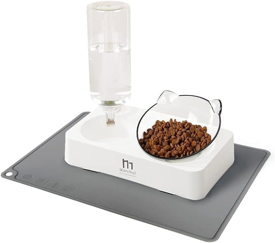 Double Elevated Dog Cat Bowl, Pets Water and Food Bowl Set, 15° Raised Tilted Dishes Indoor for Kitten, Puppies, Small or Medium Size Dogs Cats