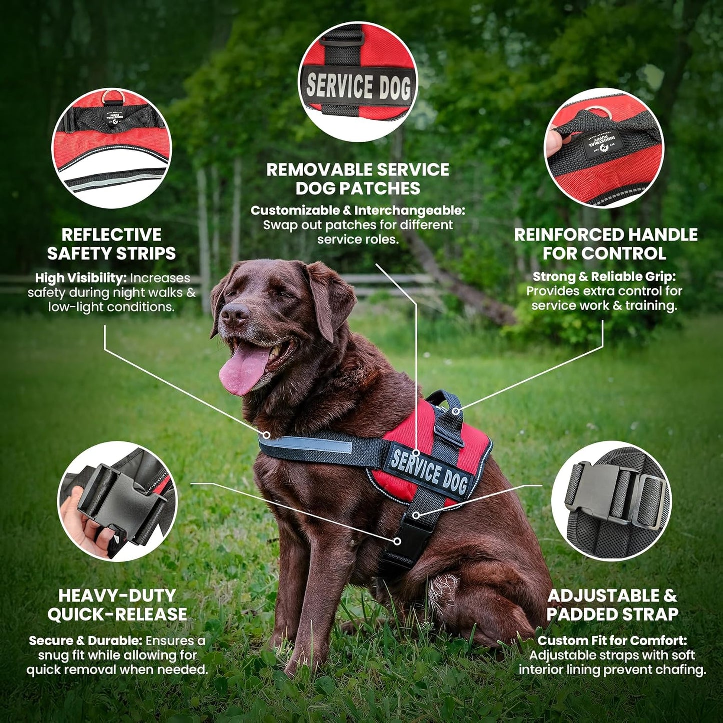 Service Dog Vest with Hook and Loop Straps & Matching Leash Set - Harnesses from XXS to XXL - Service Dog Harness Features Reflective Patch and Comfortable Mesh Design (Red, Small)