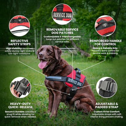 Service Dog Vest with Hook and Loop Straps & Matching Leash Set - Harnesses from XXS to XXL - Service Dog Harness Features Reflective Patch and Comfortable Mesh Design (Red, Small)