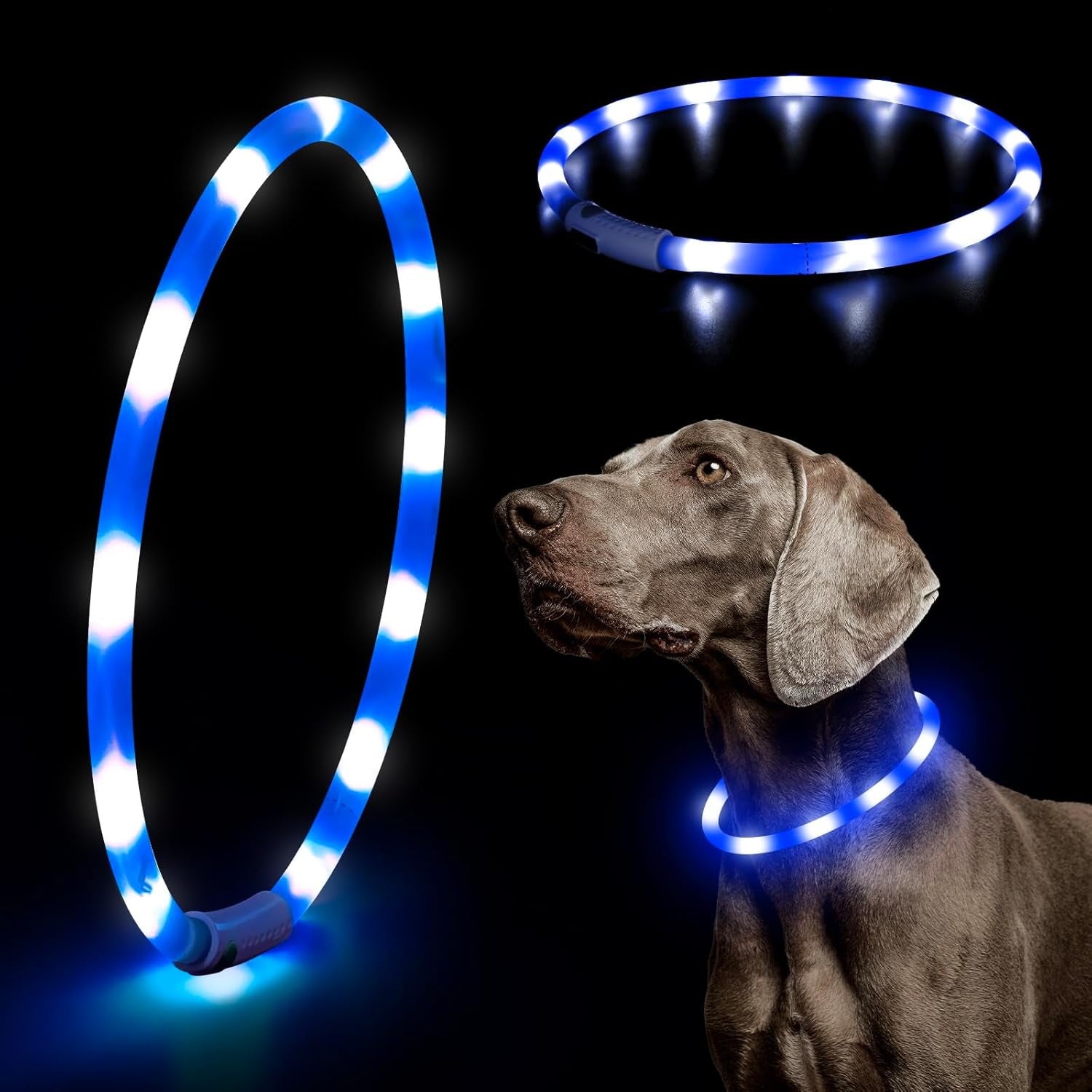 LED Dog Collar Light - USB Rechargeable Light up Dog Collars, DIY Flash LED Dog Necklace for Your Dogs Walking at Night (Red)