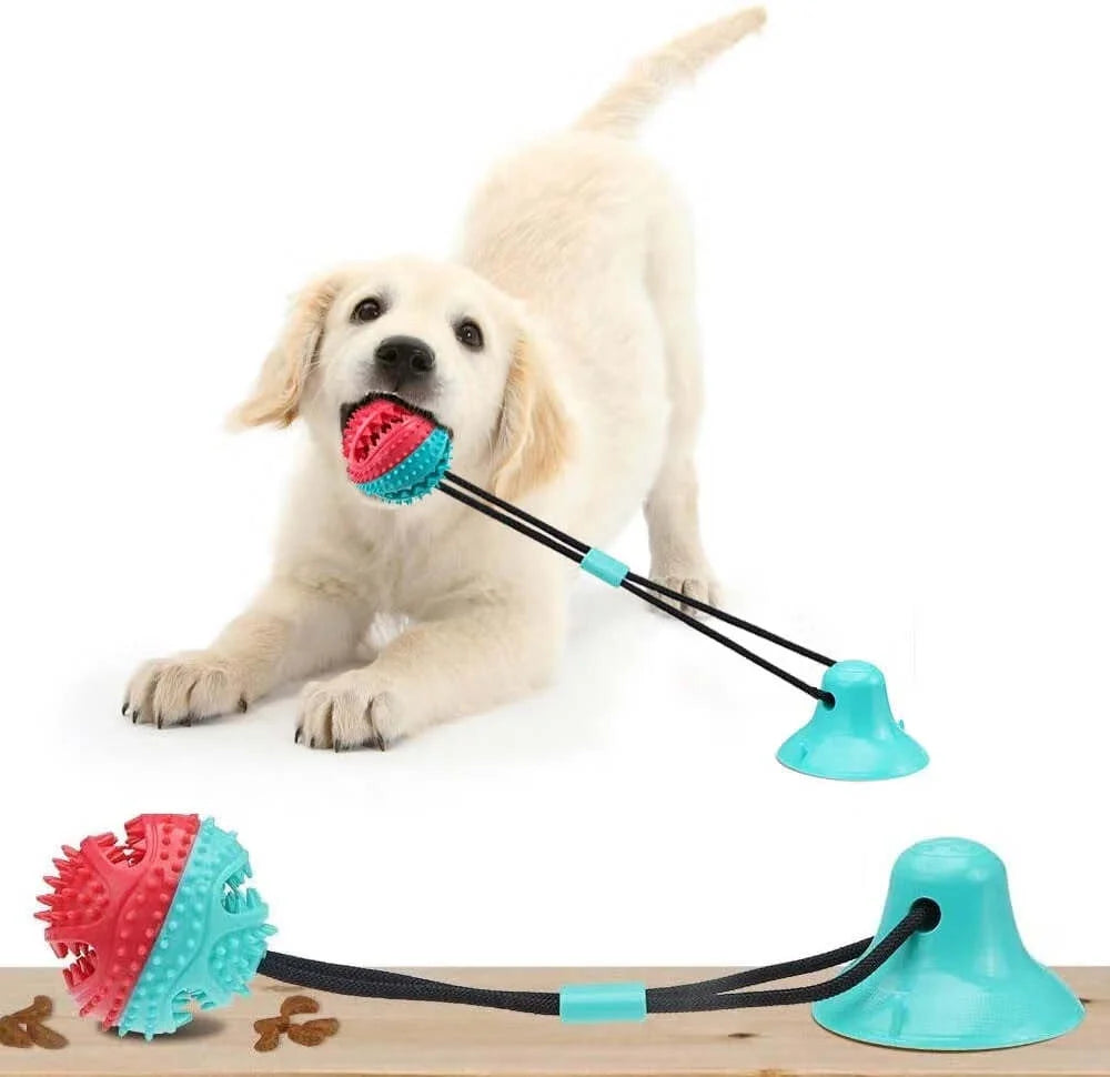 Dog Chew Toy - Dog Puzzle Treat Food Dispensing Ball Toys - Fixed Chew Toys for Aggressive Chewers