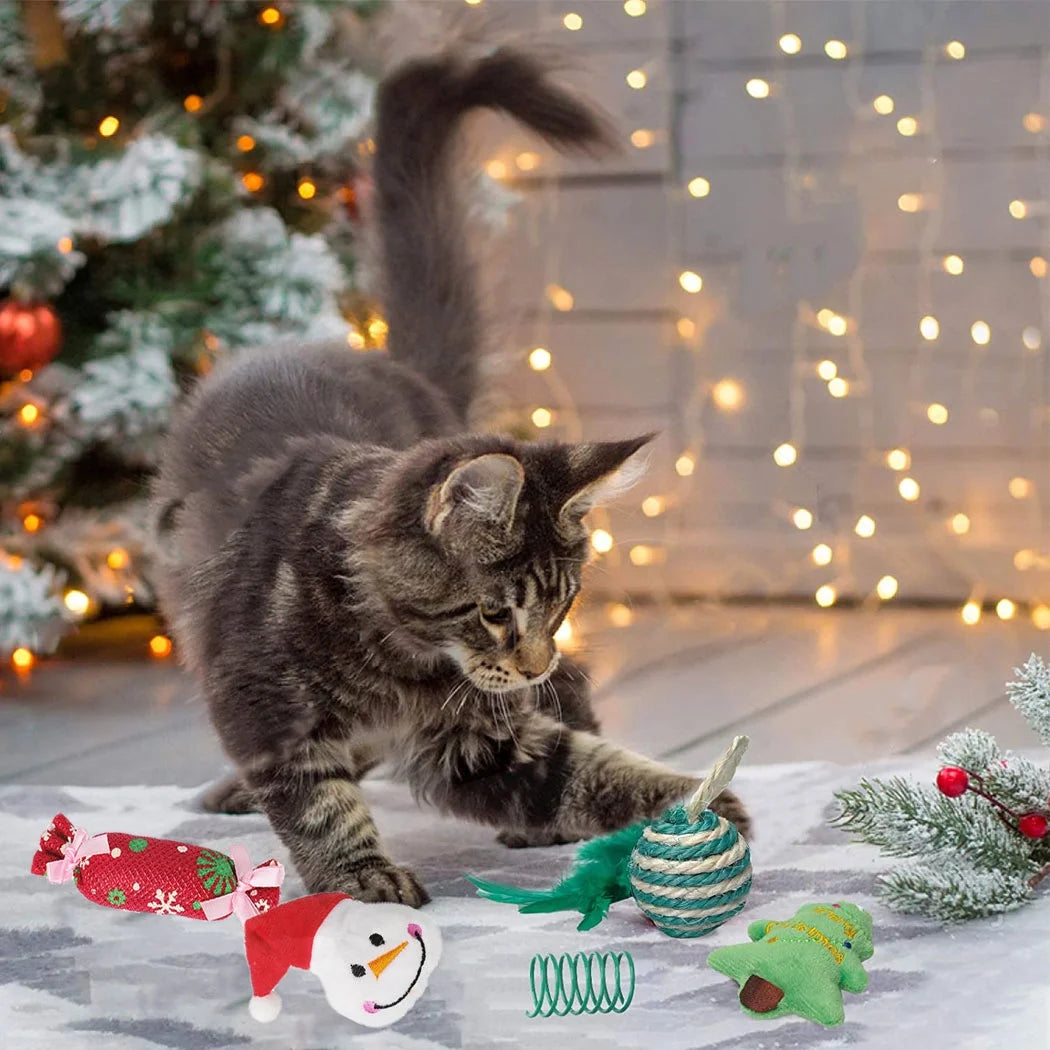Interactive Christmas Cat Toy, Gift Set, Indoor, 18 Piece