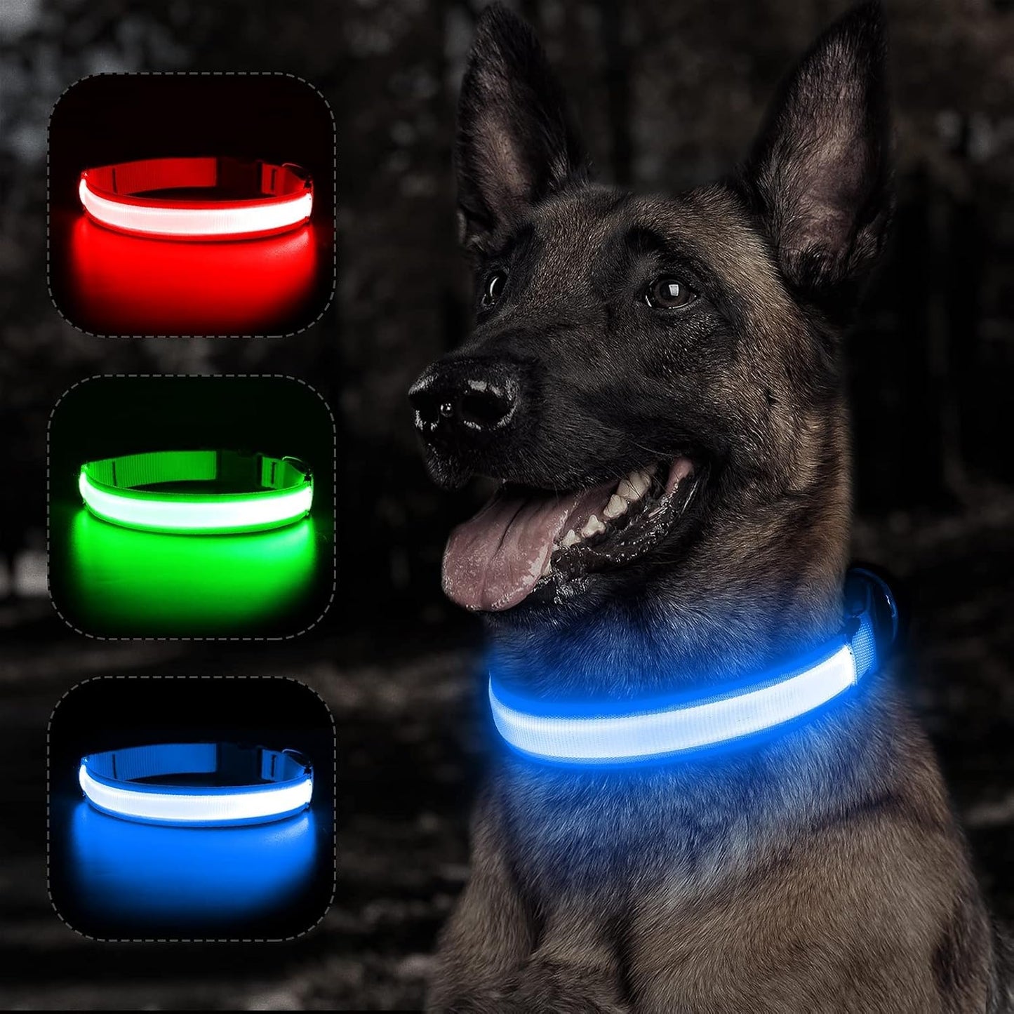 Light up Dog Collars - Rechargeable LED Dog Collar, Adjustable Dog Glow Collar, Reflective Pet Collar, Flashing Dog Lights for Night Walking (Neon Green, Large)