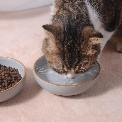 Ceramic Cat Bowls, Howise Cat Food Dish Gray, 5.3 in Shallow Pet Bowl 3 Pack Bowl Set for Kitten Cat Food Bowl and Water Bowl Small Dog Dish