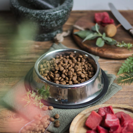 Stainless Steel Dog Bowl No Mess Non Spill Dog Water Bowl Rubber Base Dog Bowls for Medium Sized Dog, Food and Water Dish, Pet Food Holder, 22 Cm