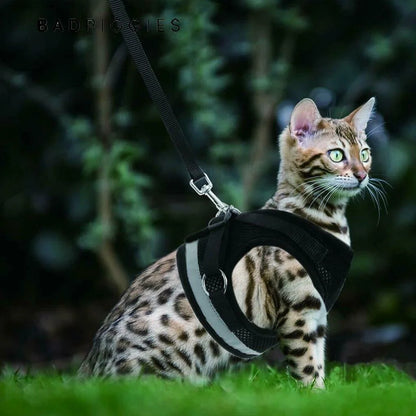 No Pull Dog Harnesses No Choke Reflective Pet Harness Adjustable Walking Breathable Mesh Dog Vest for Small Dogs Cats