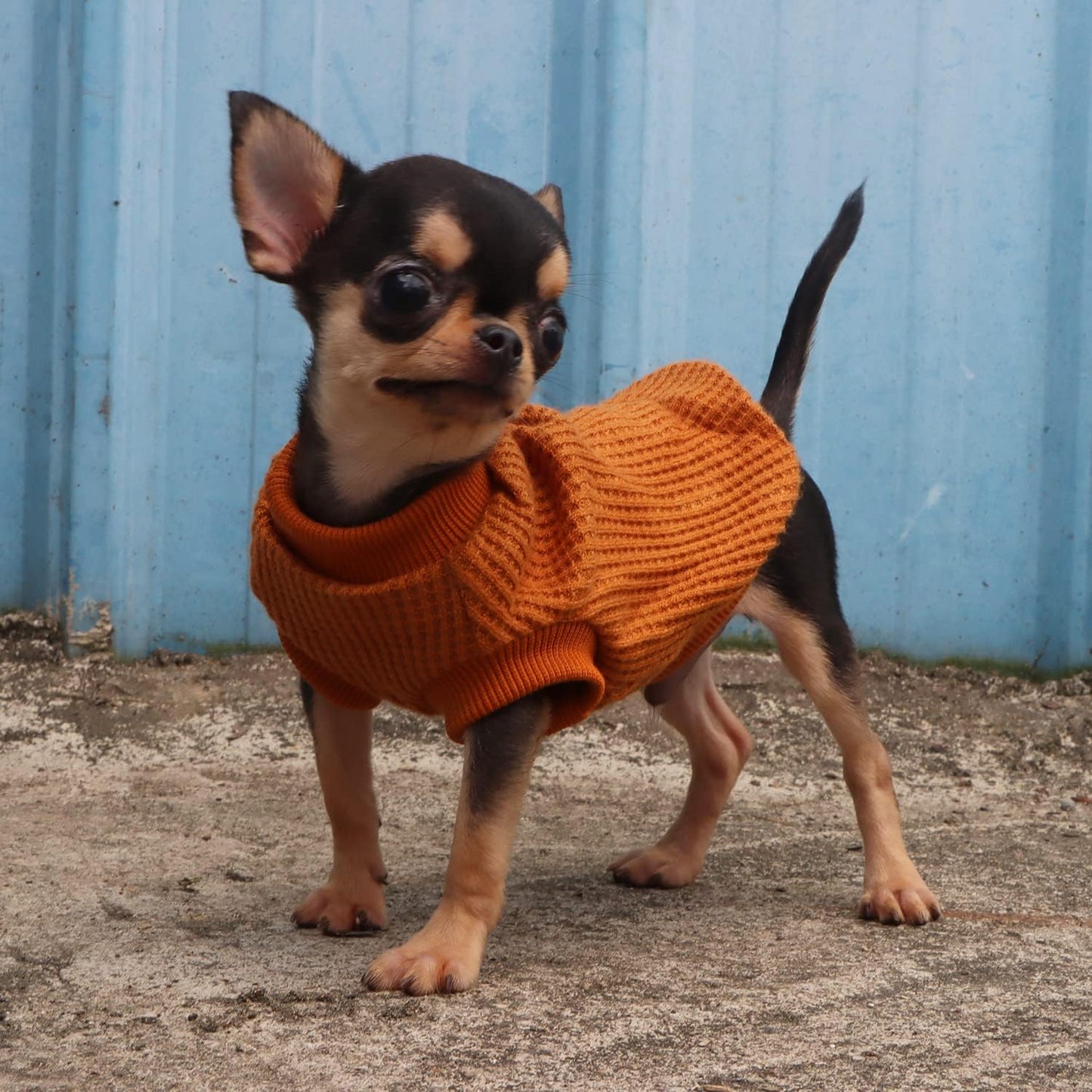 Lightweight Dog Sweaters for Puppy Small Dogs Puppy Chihuahua Yorkie Clothes-Yellow/Xs