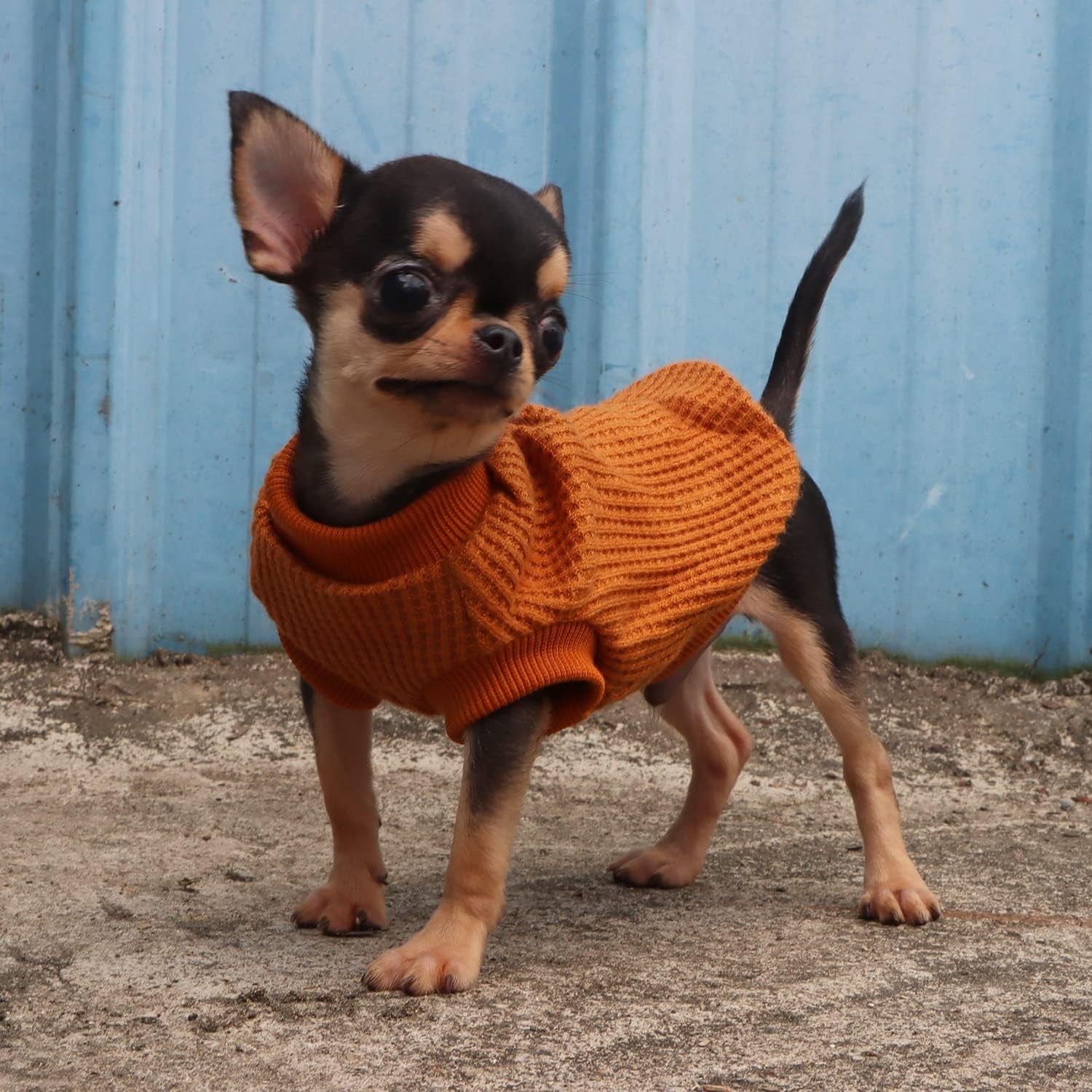 Lightweight Dog Sweaters for Puppy Small Dogs Puppy Chihuahua Yorkie Clothes-Yellow/Xs