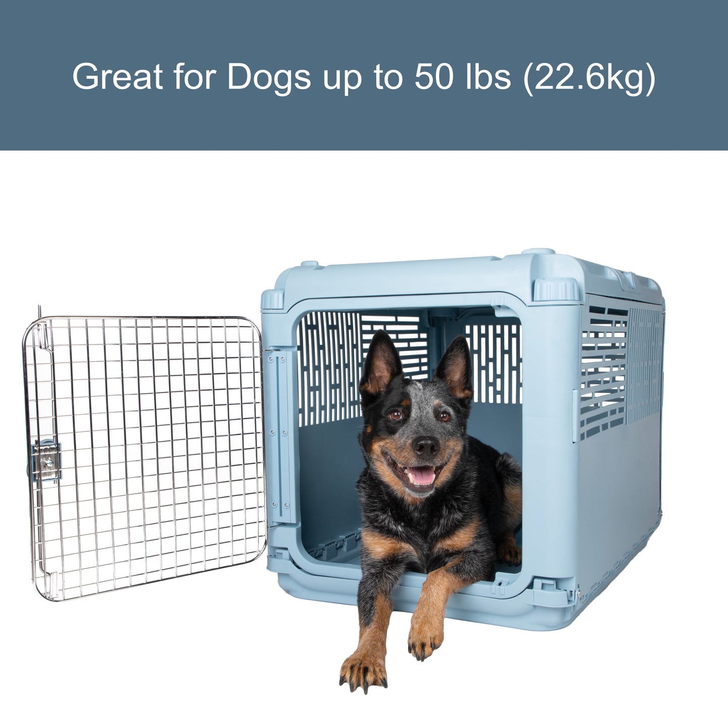 , Dog Kennels, 30" Collapsible Plastic Pet Kennel/Crate, Blue, Medium