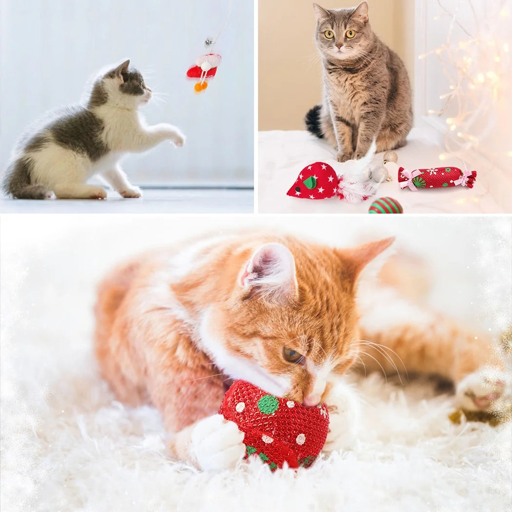 Interactive Christmas Cat Toy, Gift Set, Indoor, 18 Piece