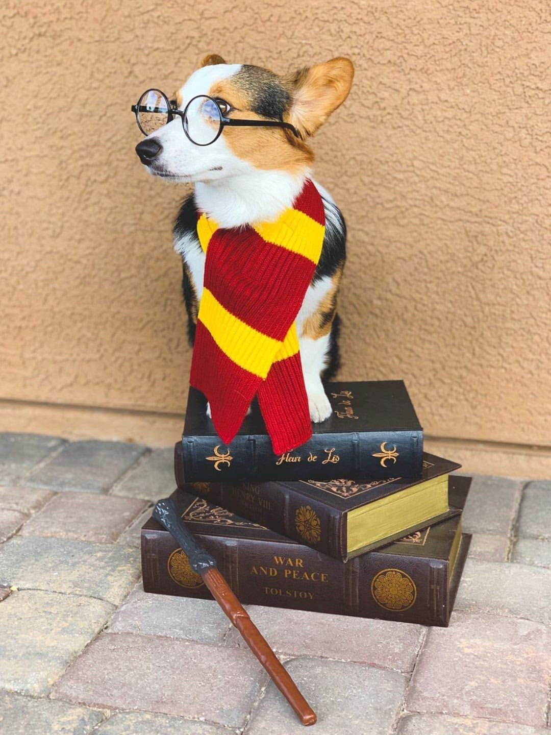 Red Yellow Striped Scarf Dog Costume - X Large Medium Small French Lab Clothes Cosplay Halloween Costumes, M, Red