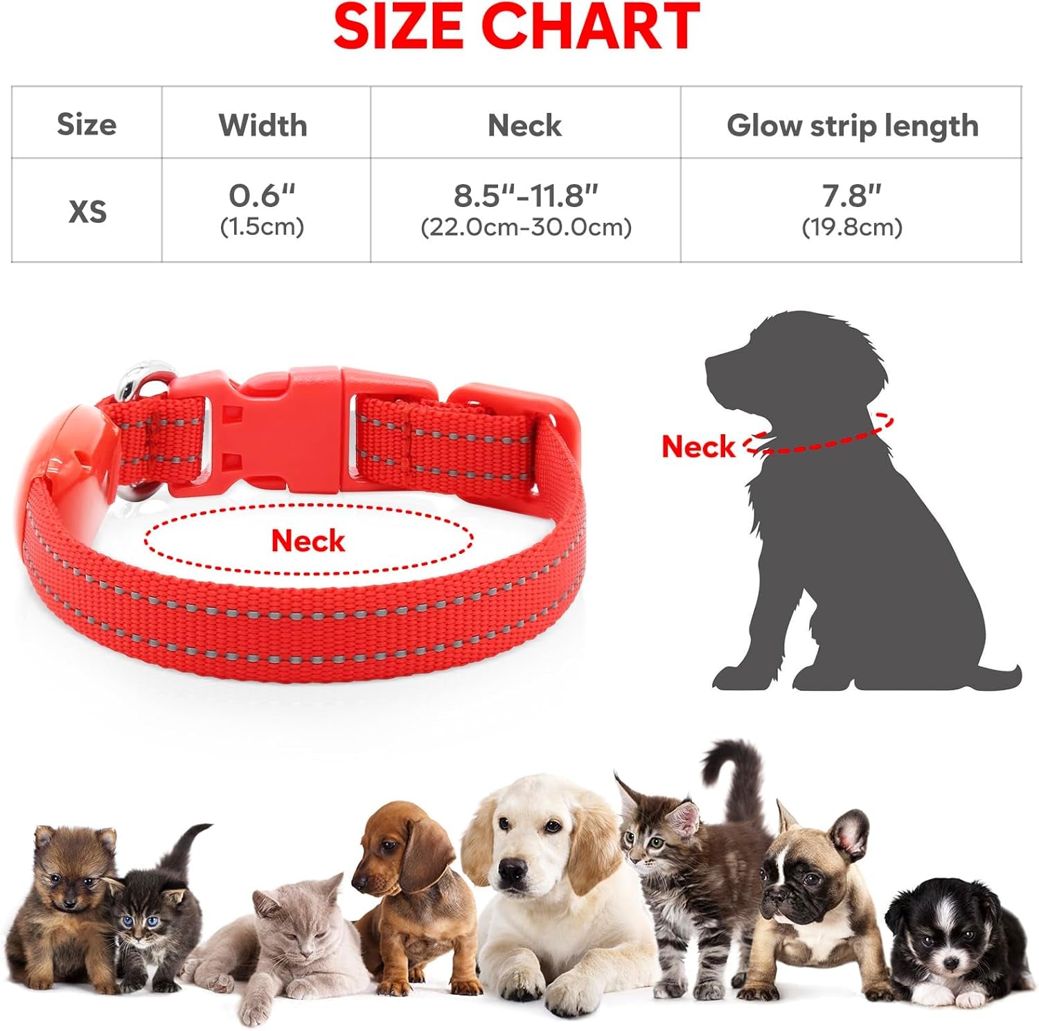 Light up Dog Collar - Reflective LED Puppy Collar Rechargeable Glow in the Dark Cat Collar High Visibility Safety Dog Lights for Night Walking (XS, Red)