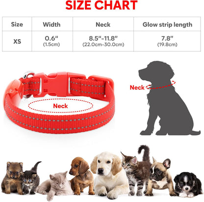 Light up Dog Collar - Reflective LED Puppy Collar Rechargeable Glow in the Dark Cat Collar High Visibility Safety Dog Lights for Night Walking (XS, Red)