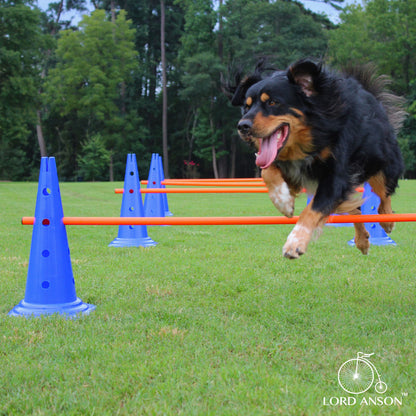 Trade; Dog Agility Hurdle Cone Set - Canine Agility Training Set - Obedience, Agility, and Rehabilitation - 8 Agility Cones and 4 Agility Rods