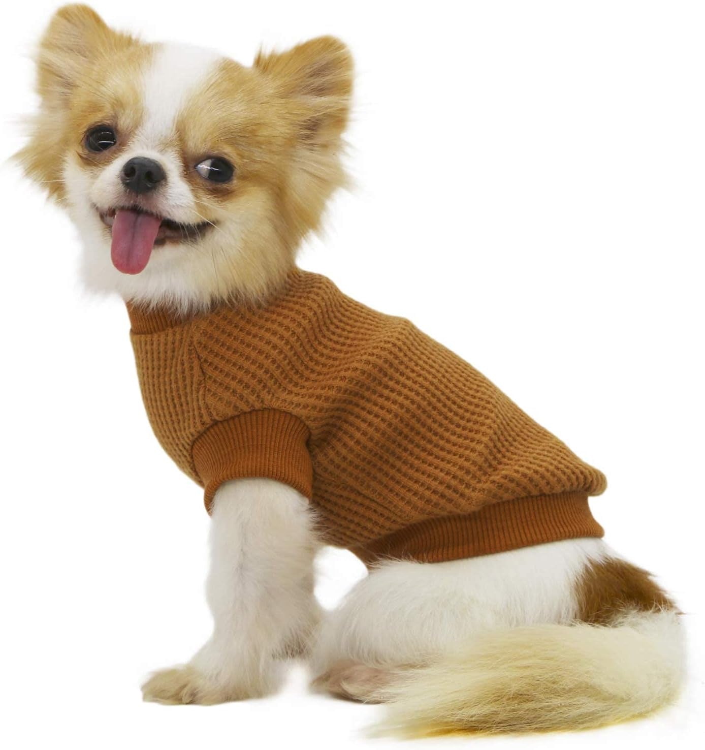 Lightweight Dog Sweaters for Puppy Small Dogs Puppy Chihuahua Yorkie Clothes-Yellow/Xs