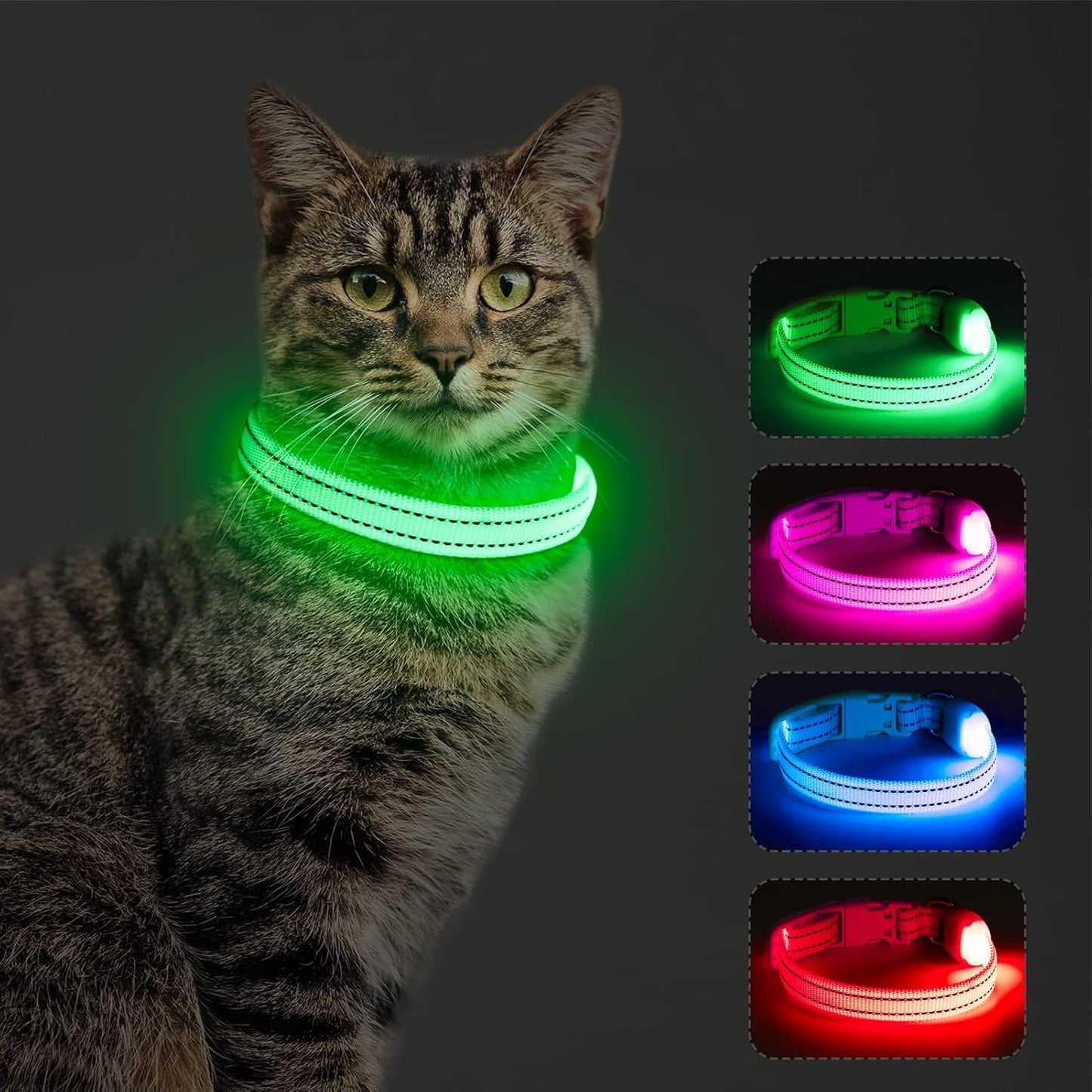 Light up Dog Collar - Rechargeable Puppy Collar Glow in the Dark LED Dog Collar Lights for Small Dogs & Cats (X-Small, Blue)